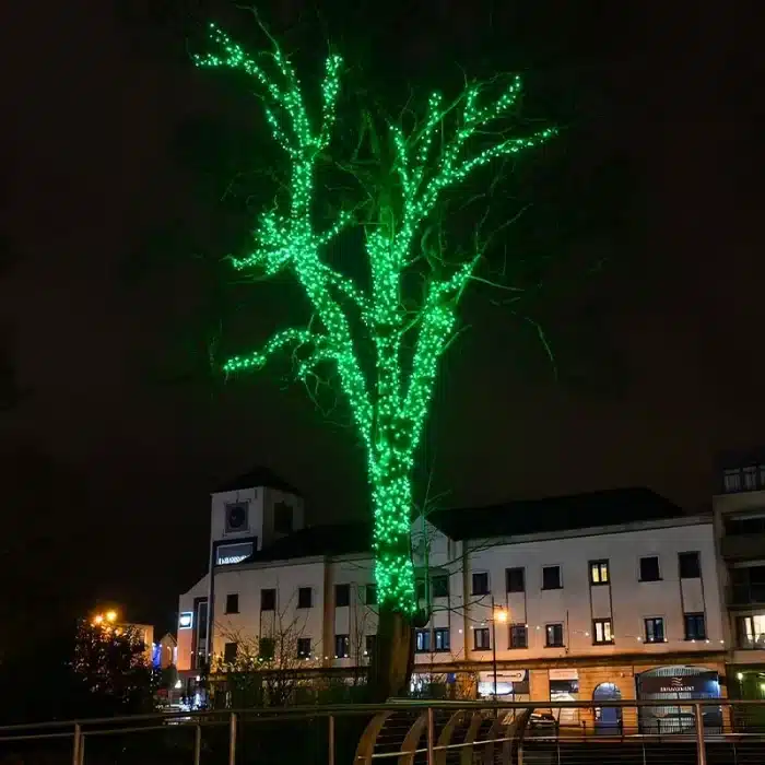 Connectable Green Outdoor Christmas Tree Lights