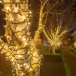 Connectable Warm White Outdoor Tree Lights