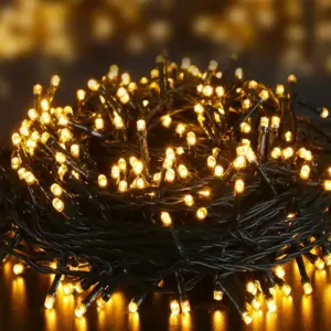 1000 warm white multi function Christmas lights for indoor and outdoor use.
