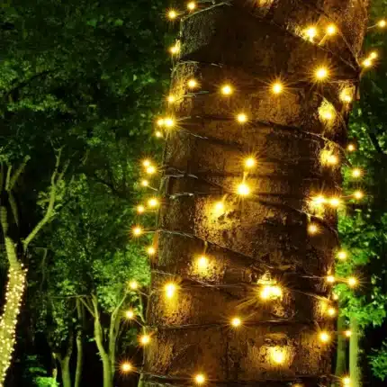 100 LED multifunction connectable Christmas lights black cable close up view