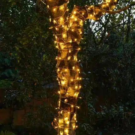 100 LED multifunction connectable Christmas lights outdoor tree display