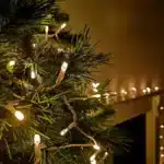 100 LED multifunction connectable Christmas lights clear cable indoor tree display