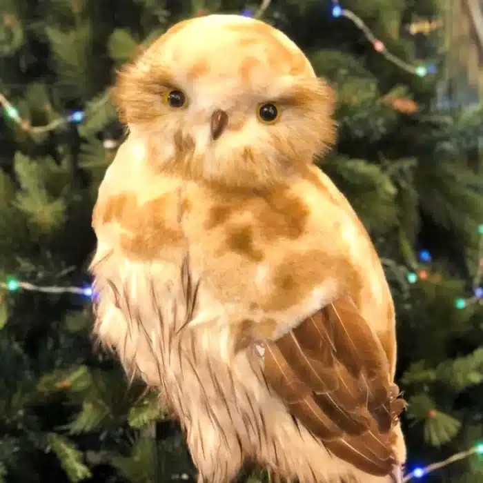 Brown furry owl with smooth head Christmas decoration 50cm tall close up