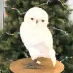 Winter furry owl with smooth head Christmas decoration product