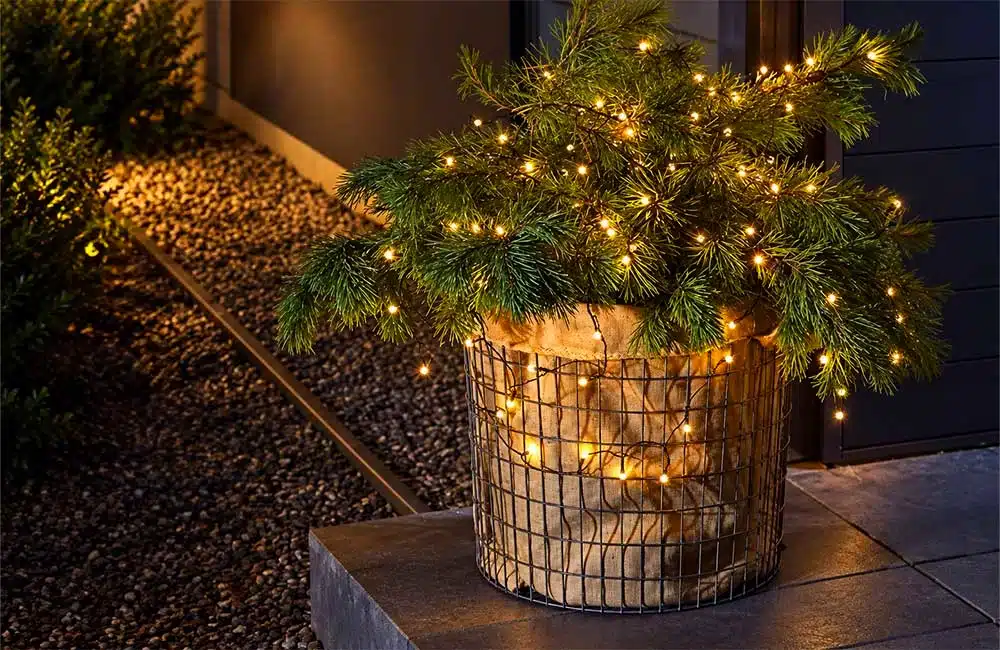 Battery-operated festive lights