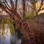 Connectable multicolour with ice white flash LED Christmas lights IP65 rated