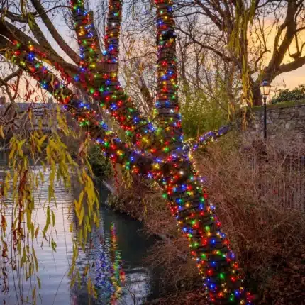 Connectable multicolour with ice white flash LED Christmas lights IP65 rated