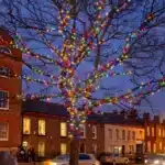 Connectable multicolour with ice white flash LED Christmas lights product display