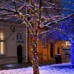 Connectable multicolour with ice white flash LED outdoor Christmas lights tree display