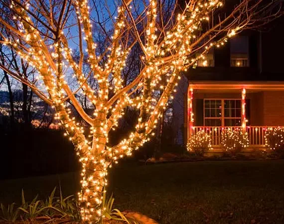 Outdoor tree wrapped with warm white LED Christmas lights
